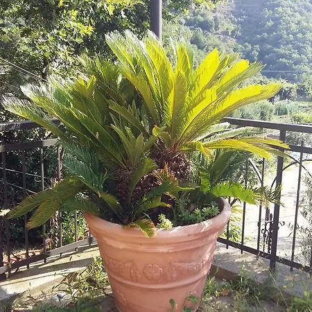 Πανσιόν Ospitalita In Campagna Quiliano