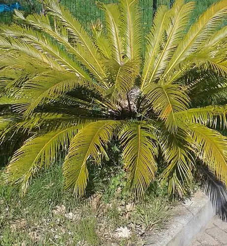 Ospitalita In Campagna 招待所 *