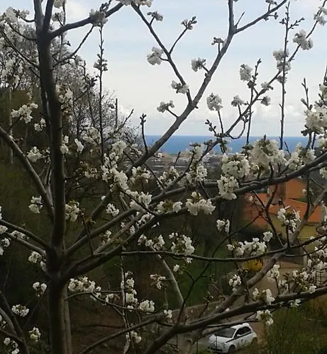 Ospitalita In Campagna *