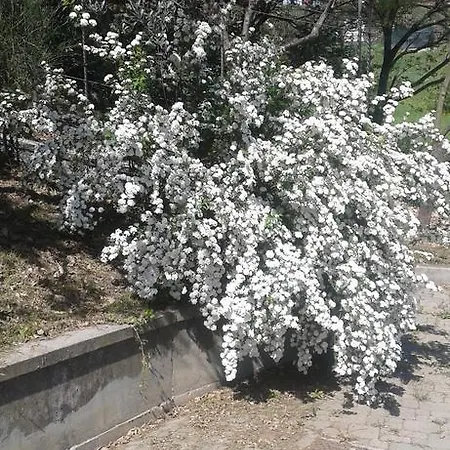 Ospitalita In Campagna