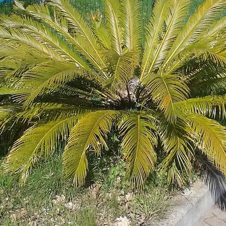 Ospitalita In Campagna Maison d'hôtes *