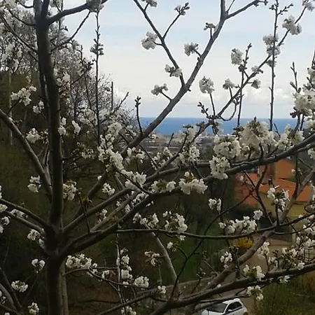 Ospitalita In Campagna *