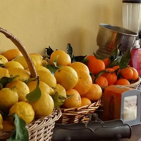 Ospitalita In Campagna * Quiliano