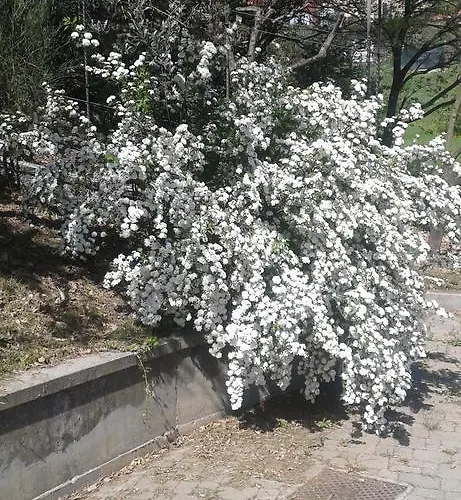 Ospitalita In Campagna