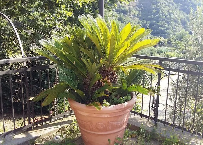 게스트하우스 Ospitalita In Campagna 퀼라노